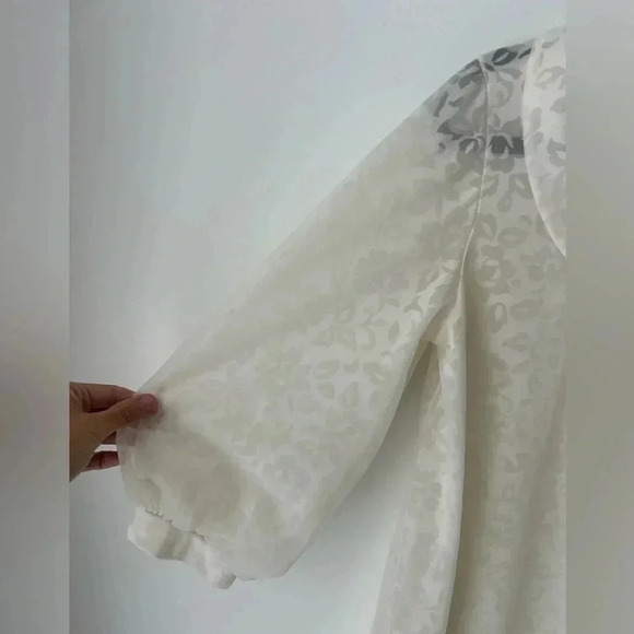 1960s Linda underlovelies  Chiffon Duster - Picture 3 of 12